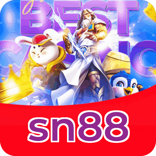 Verificação KYC sn88